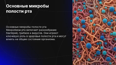 Основные представители микробиома полости рта