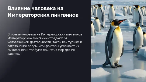 Воздействие человека на Императорских пингвинов: презентация