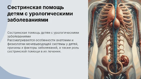 Сестринская помощь детям при заболеваниях мочевыводящих путей