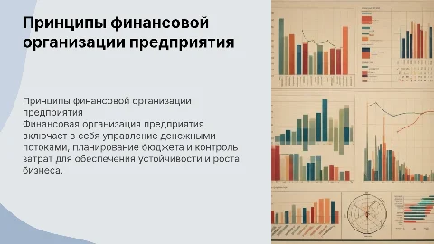 Принцы организации финансов предприятия