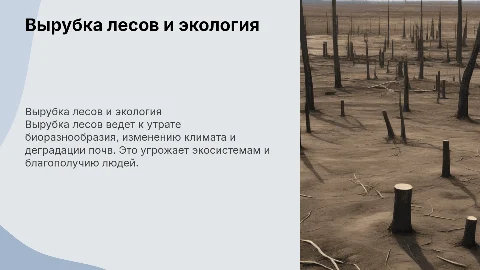 Проект "Вырубка лесов как экологическая проблема"