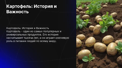 картофель видеопрезентация