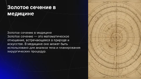 Всё про золотое сечение в медицине