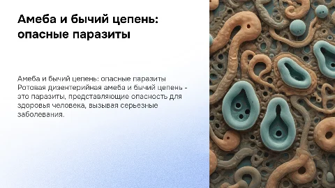 амеба (ротовая дизентерийная) и бычий цепень