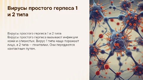 вирус простого герпеса 1 и 2 типа