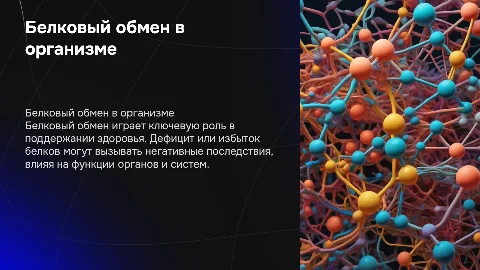 Белковый обмен в организме: последствия дефицита и избытка