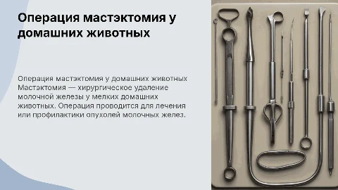 как проходит операция мастэктомия у мелких домашних животных