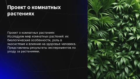 Проект о комнатных растениях: биология и эксперименты