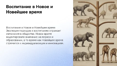 Представление о воспитании в Новое и Новейшее время