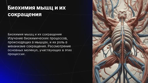 Биохимия мышц и мышечного сокрашения