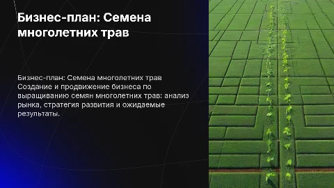 бизнес план по выращиванию семян многолетних трав