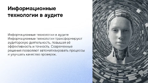 использование информационных технологий в аудиторской деятельности