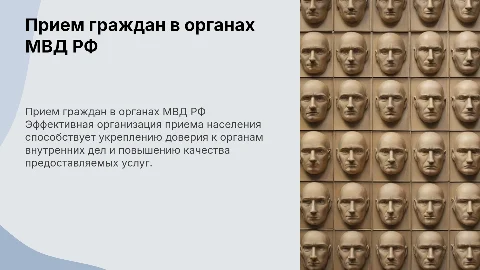 Прием населения в органах МВД: организация и осуществление