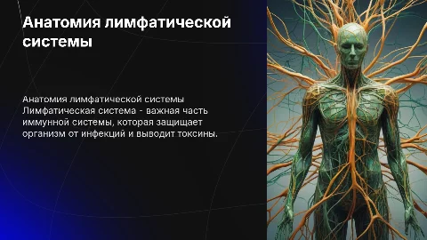 Анатомия лимфатической системы
