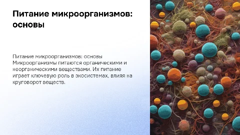 питание микроорганизмов