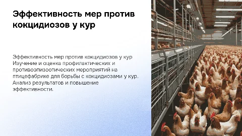 Оценка эффективности профилактических мероприятий против кокцидиозов