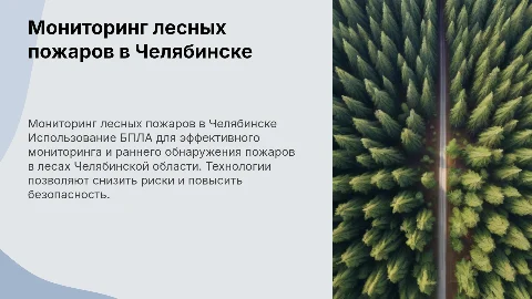 Мониторинг пожарной опасности в лесах Челябинской области