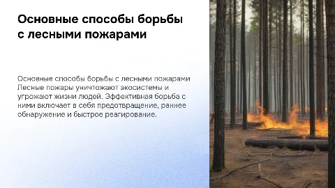 Основные способы борьбы с лесными пожарами