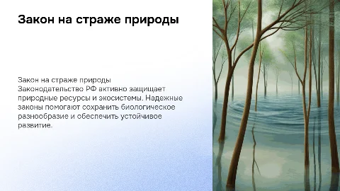 Закон на страже природы: охрана окружающей среды в России