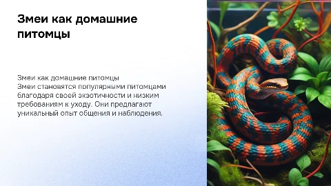 Змеи как домашние питомцы