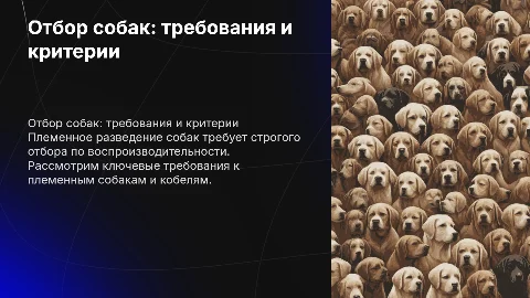 Отбор собак по воспроизводительности: требования и критерии