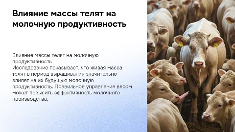 Влияние живой массы телят на молочную продуктивность