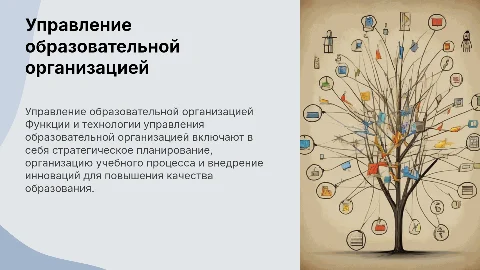 Функции и технологии управления образовательной организацией