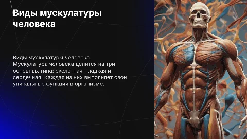 виды мускулатуры в теле человека