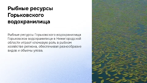 Рыбохозяйственная характеристика Горьковского водохранилища