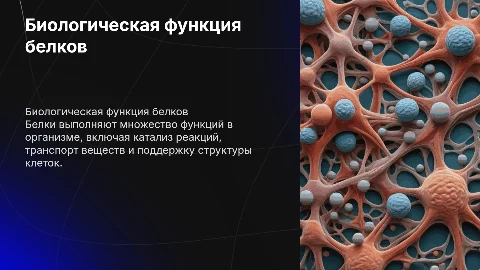 Биологическая функция белков
