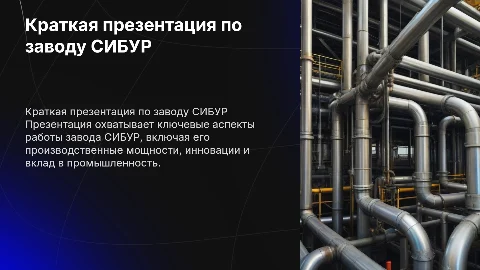 Краткая презентация по заводу сибур