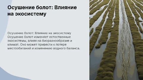 презентация на тему осушения болот для урока биологии
