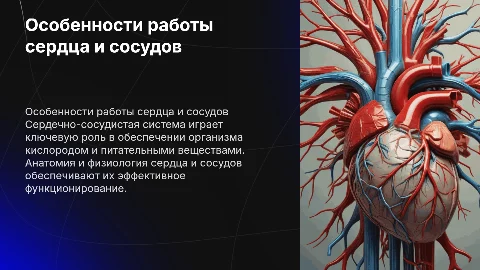 Анатомо-физиологические особенности сердечно-сосудистой системы