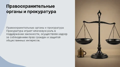 Правоохранительные органы.Прокуратура