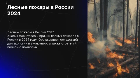 Лесные пожары в россии за 2024 год
