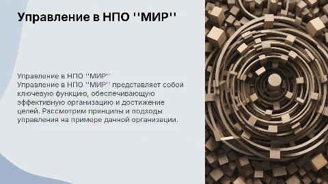 Управление как функция организации в НПО "МИР"