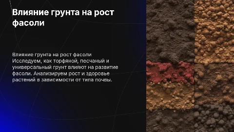Влияние грунта на рост фасоли: торфяной, песчаный, универсальный