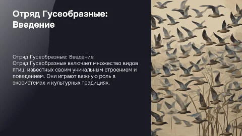 презентация отряд гусеобразные