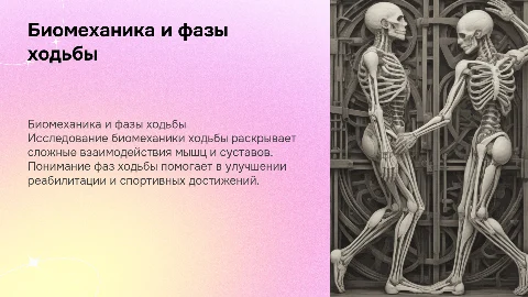 Биомеханика ходьбы, фазы ходьбы и из выполнение