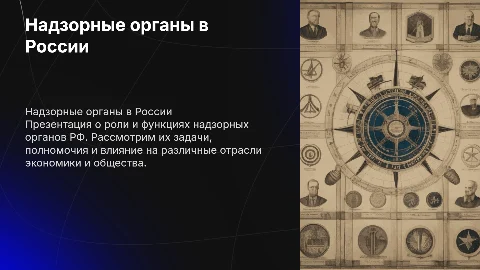 Надзорные органы РФ