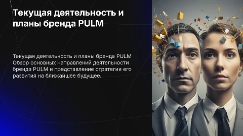 Презентация текущей деятельности бренда PULM и его план
