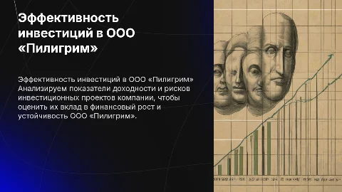 Оценка эффективности инвестиционных проектов в ООО «Пилигрим»