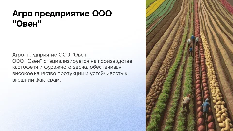 Агро предприятие ООО "Овен": производство картофеля и зерна