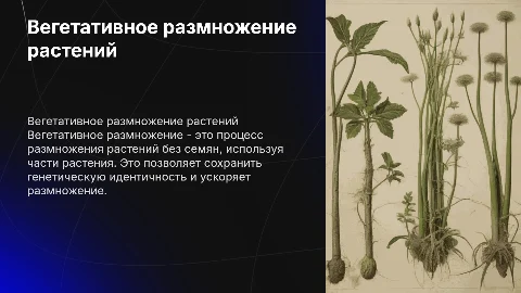 вегетативное размножение