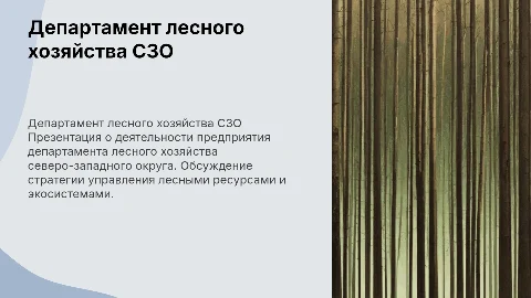 Презентация о департаменте лесного хозяйства СЗО