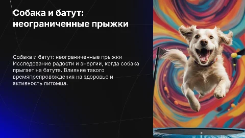 Собака прыгает на батуте