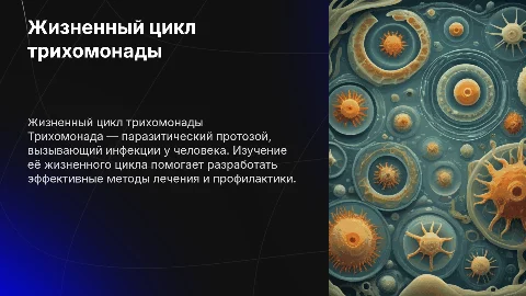 жизненный цикл трихомонады