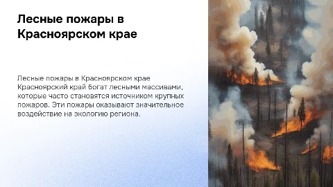 Красноярский край: Лесные массивы и очаги горения