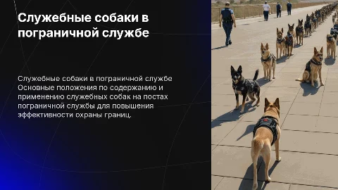 Основные положения по применению служебных собак в пограничной службе