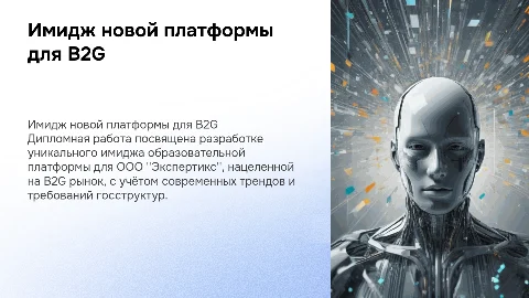 Разработка имиджа образовательной платформы для B2G